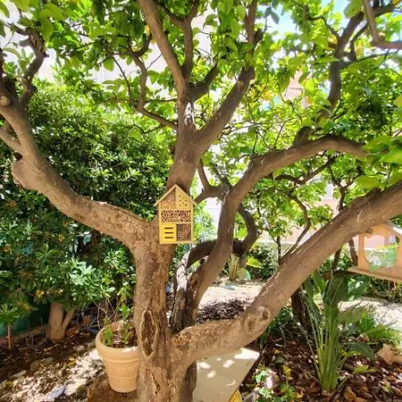 Super Flat, Garden. Bnbrickeys Apartment *