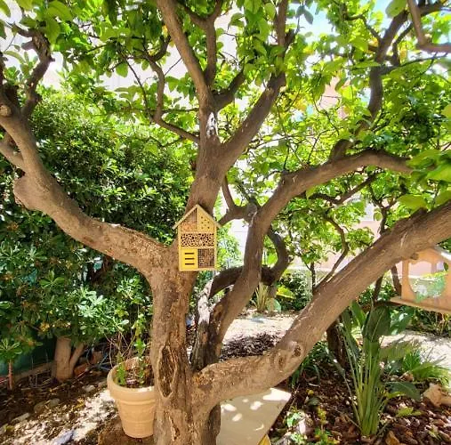 Super Flat, Garden. Bnbrickeys Appartement *